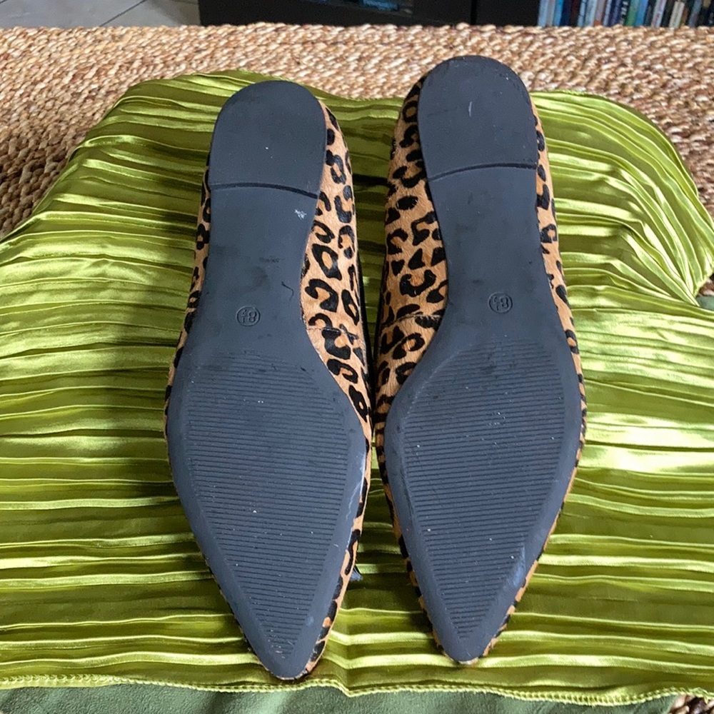 Leopard flats - Picture 4 of 6